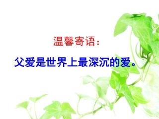 《青山处处埋忠骨》课件