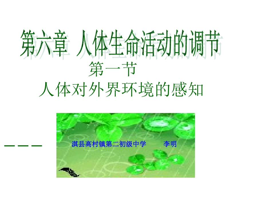 人体对外界环境的感知眼和视觉课件_第1页