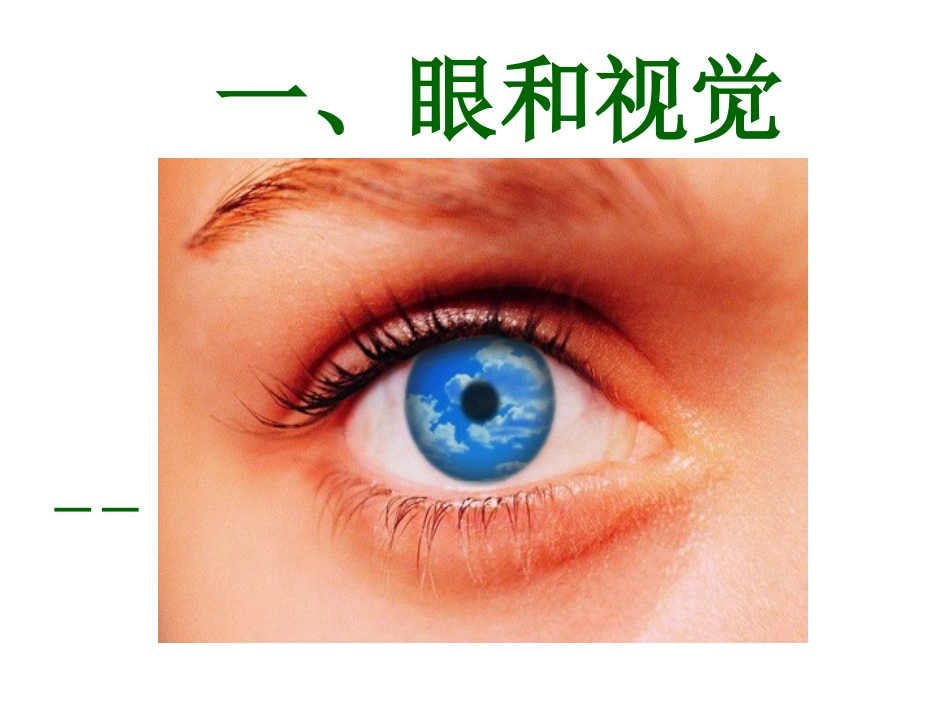 人体对外界环境的感知眼和视觉课件_第3页