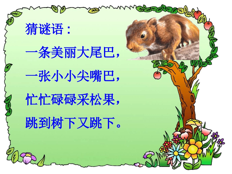 《松鼠》PPT课件讲_第1页