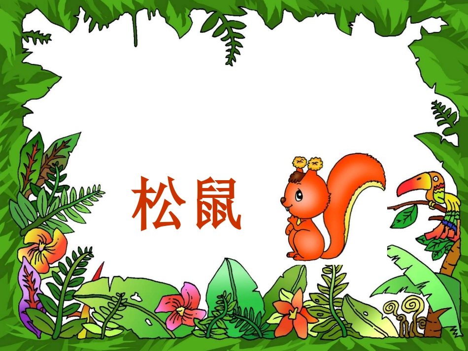 《松鼠》PPT课件讲_第2页