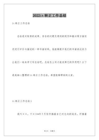 2024it转正工作总结