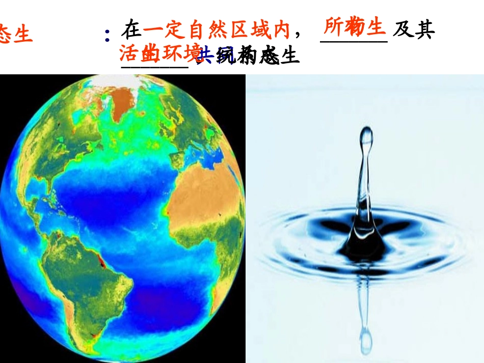 生态系统概述_第2页