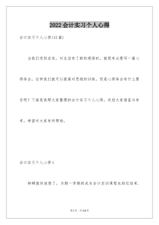 2024会计实习个人心得_2