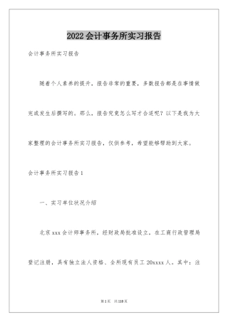 2024会计事务所实习报告_4
