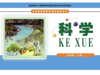 生活中的好帮手教学课件