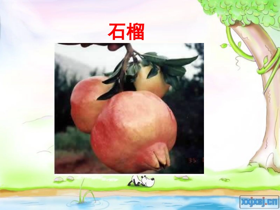 语文S版__一年级上__15_石榴笑了_课件_第2页