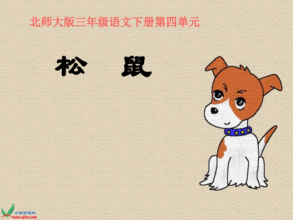 北师大版三年级语文下册《松鼠1》PPT课件_第1页