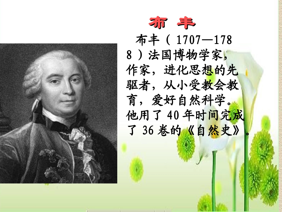 北师大版三年级语文下册《松鼠1》PPT课件_第3页