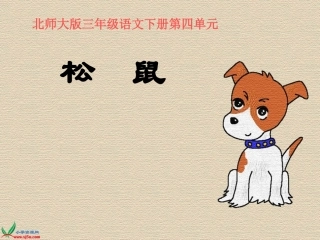 北师大版三年级语文下册《松鼠1》PPT课件