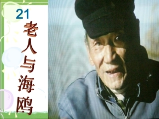 《老人与海鸥》教学课件