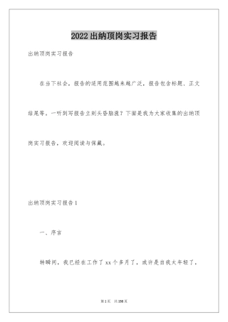 2024出纳顶岗实习报告_2