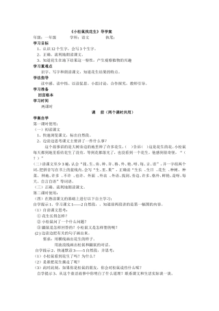 小松鼠找花生导学案