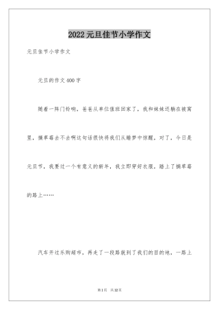 2024元旦佳节小学作文