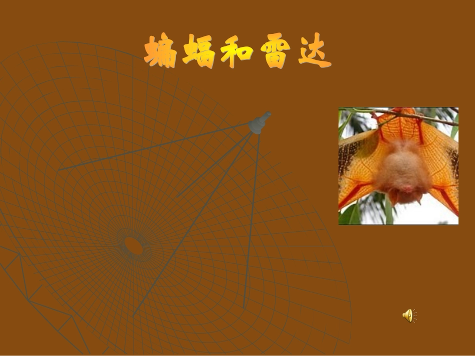 《篇幅与雷达》教学课件_第1页