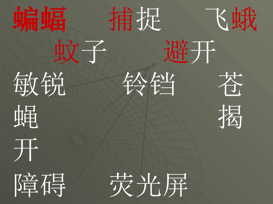 《篇幅与雷达》教学课件_第2页