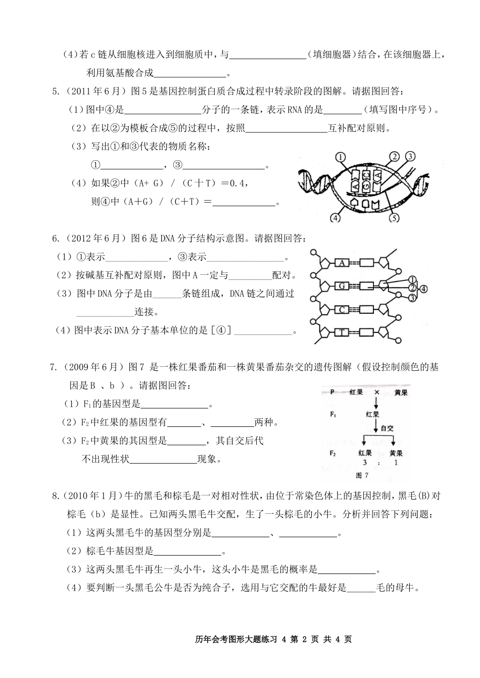 会考大题(遗传)_第2页