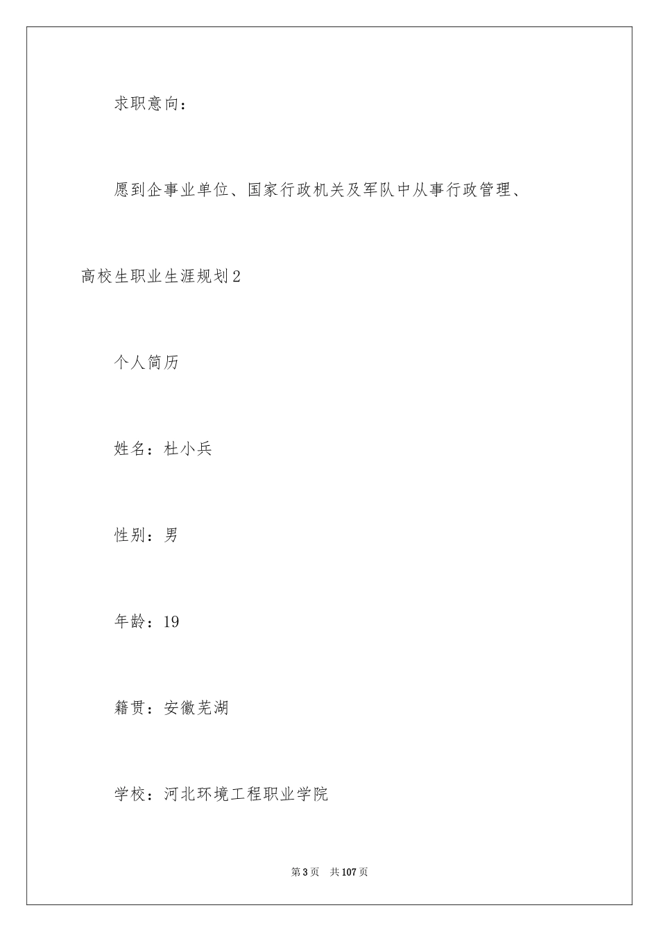 2024大学生职业生涯规划_9_第3页