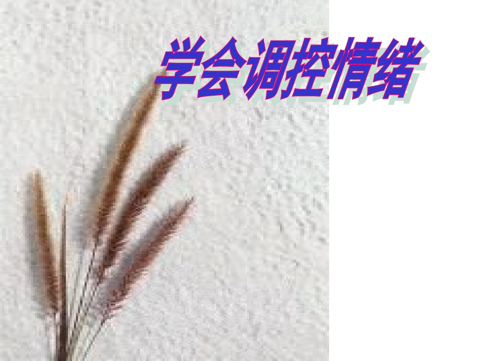 学会调控情绪 (2)_第1页