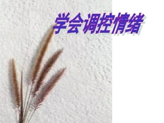 学会调控情绪 (2)