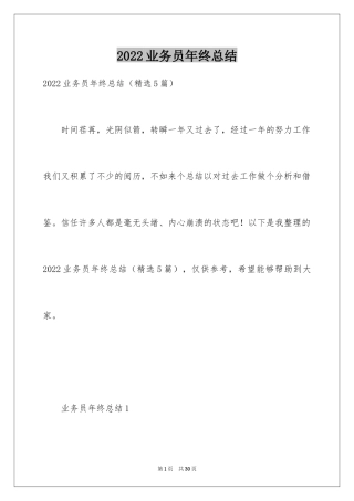 2024业务员年终总结_2