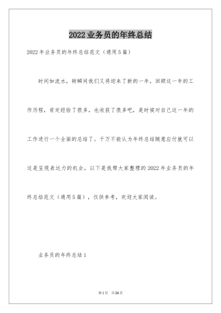 2024业务员的年终总结