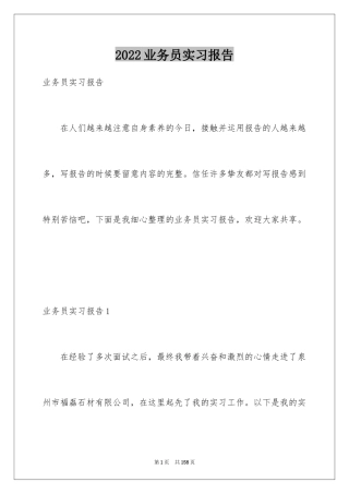 2024业务员实习报告_8