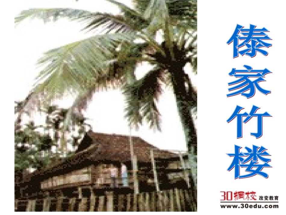 人教版二年级语文下册《难忘的泼水节》课件_第2页