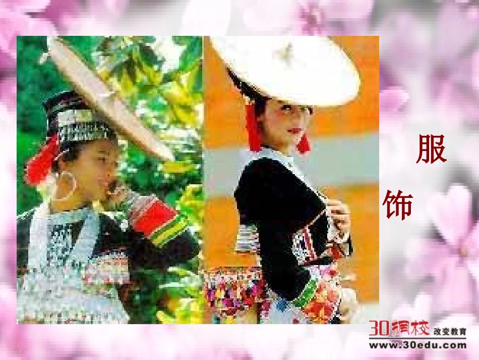 人教版二年级语文下册《难忘的泼水节》课件_第3页