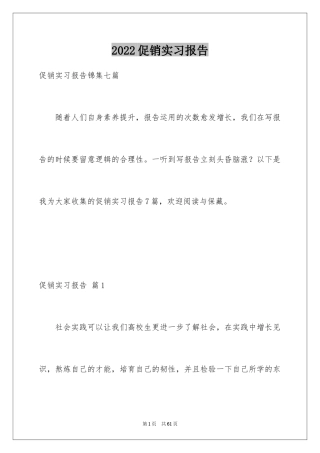 2024促销实习报告_5