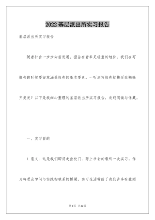 2024基层派出所实习报告