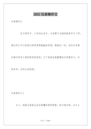 2024兄弟情作文_18