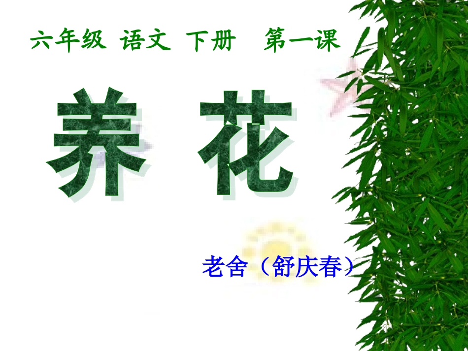 北师大语文六年级下册《养花》_第1页