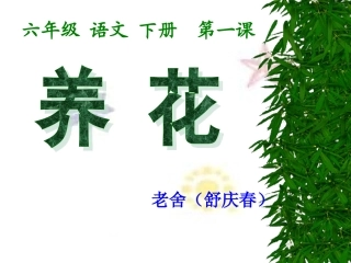 北师大语文六年级下册《养花》