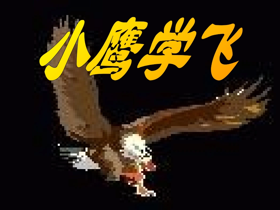 《小鹰学飞》课件_第1页