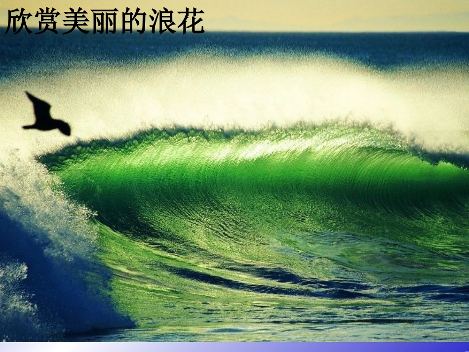 《16、浪花》课件_第1页