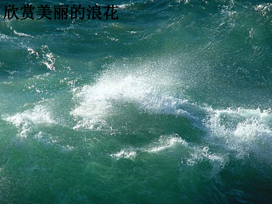 《16、浪花》课件_第3页