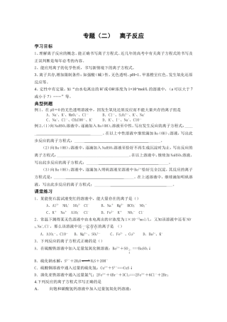 专题（二）离子反应