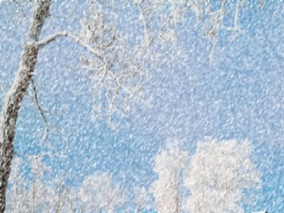 雪地里的小画家2_第3页