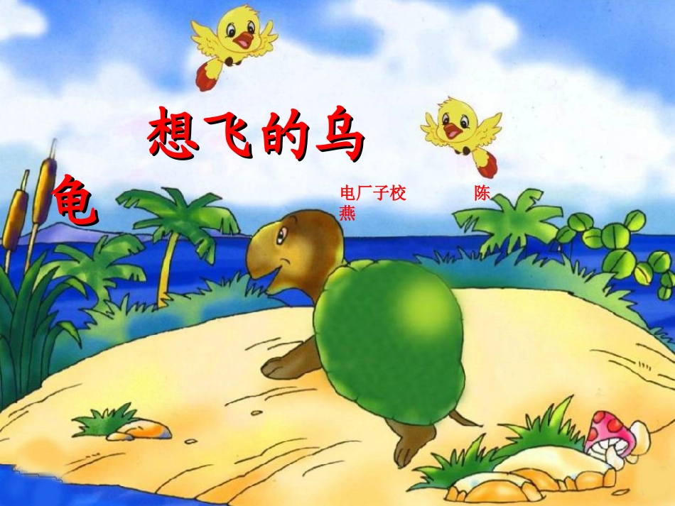 《想飞的乌龟》_第1页