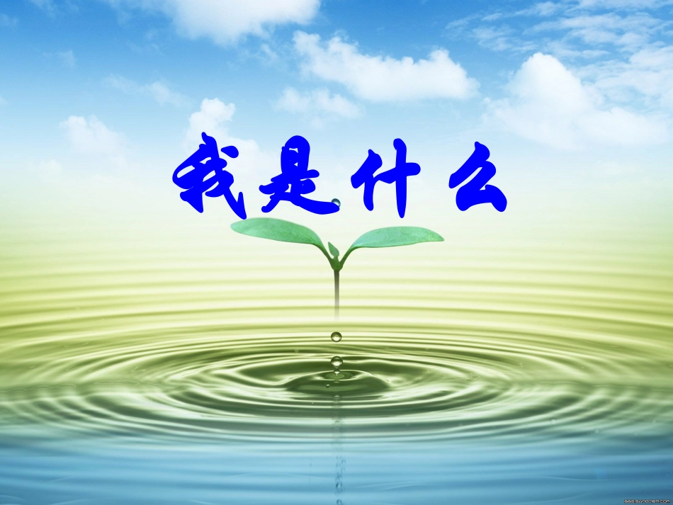 《我是什么》_第1页