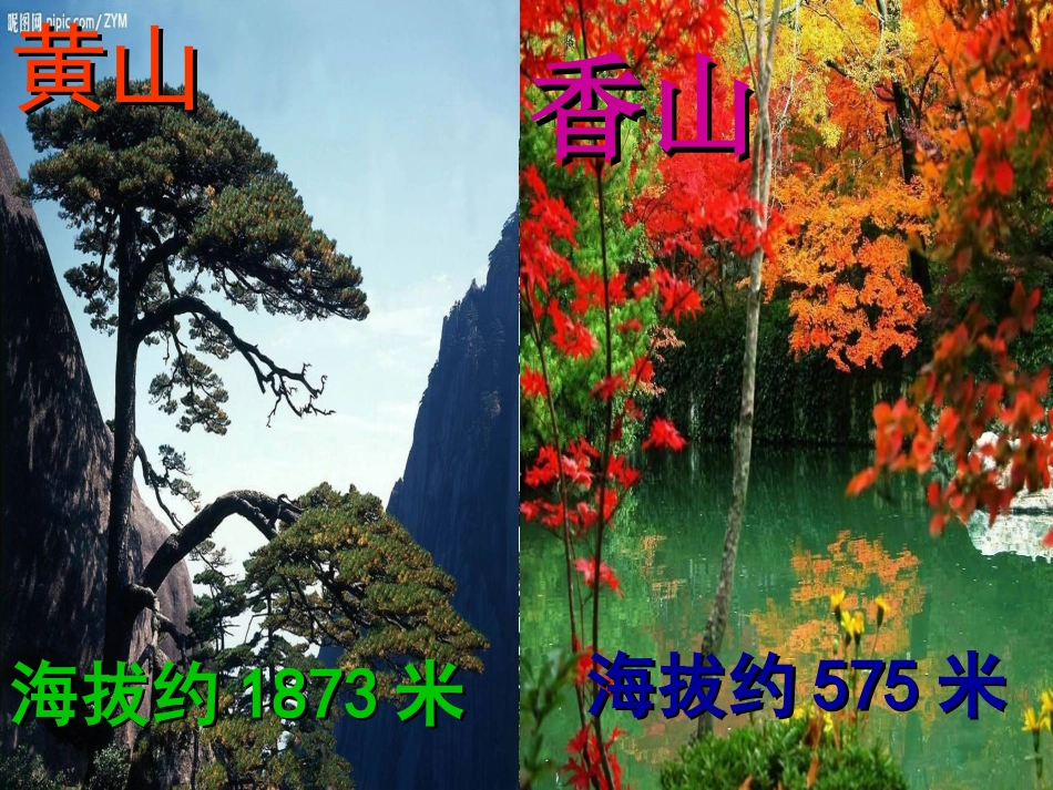 比一比教学设计_第2页