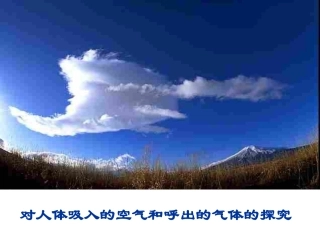 初三化学上学期对人体吸入的空气和呼出的气体的探究