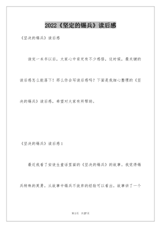2024《坚定的锡兵》读后感