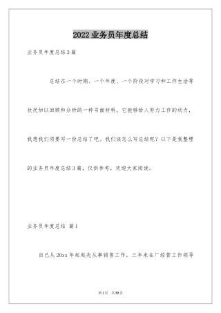 2024业务员年度总结_1