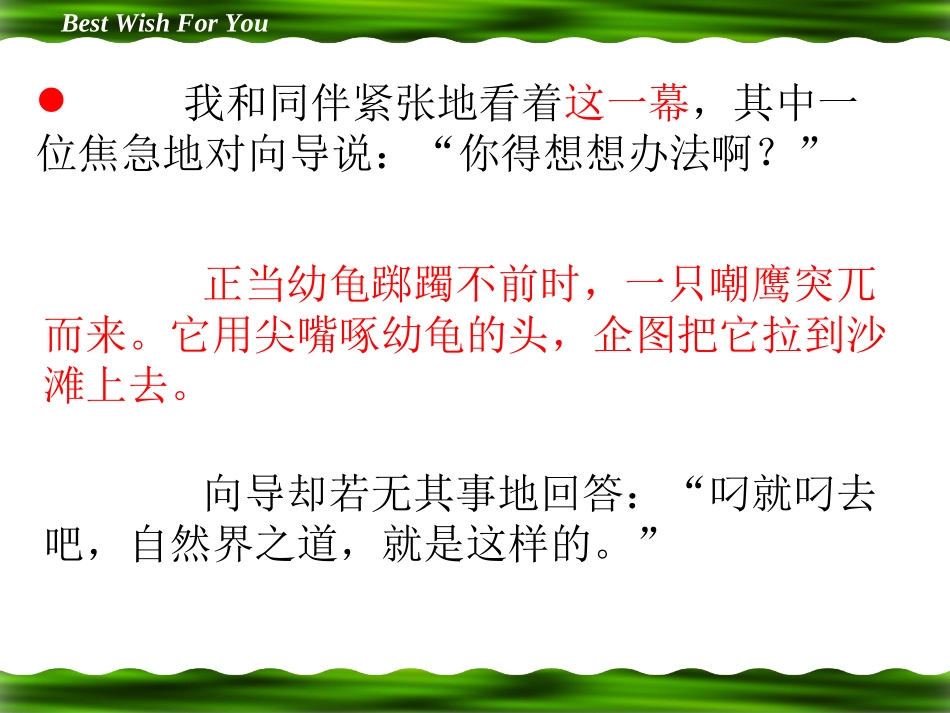 《大自然的秘密》_第3页