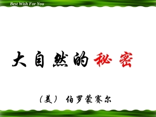 《大自然的秘密》