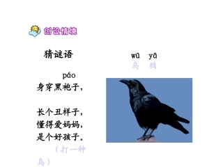 乌鸦喝水人教版