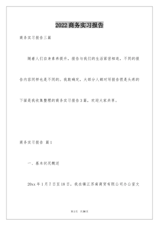 2024商务实习报告_14