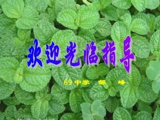 从不同方向看说课